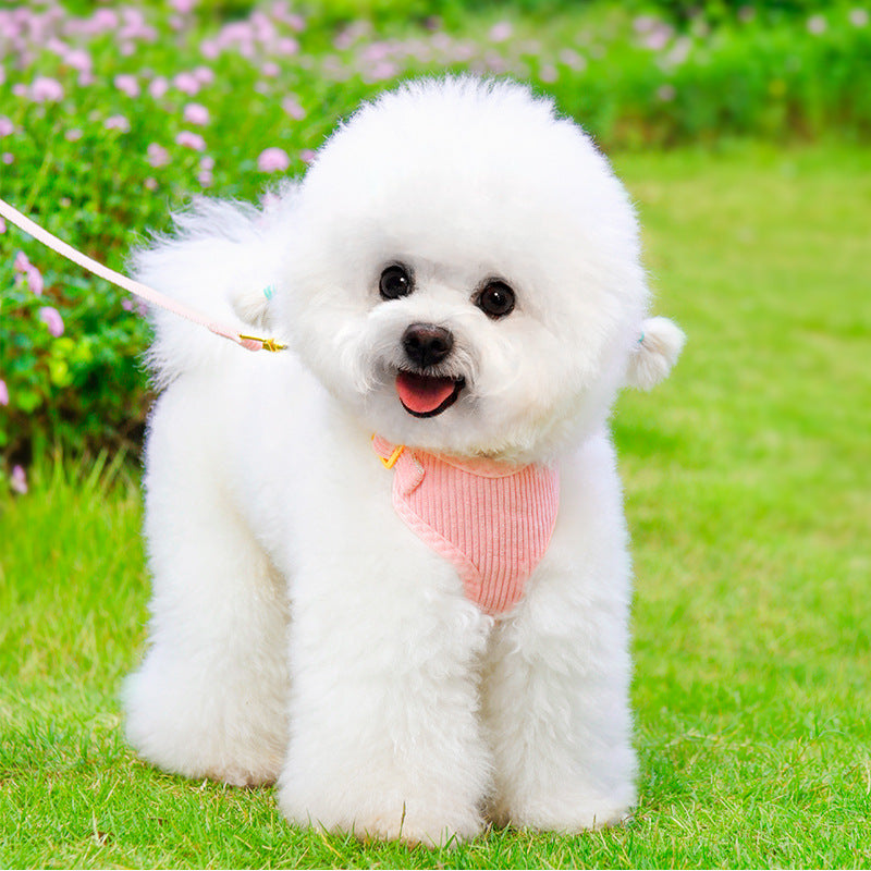 Outdoor Dog Leash And Harness
