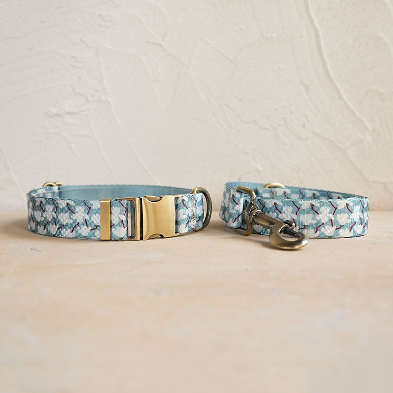 Soft And Comfortable Pet Dog Collar Leash Set