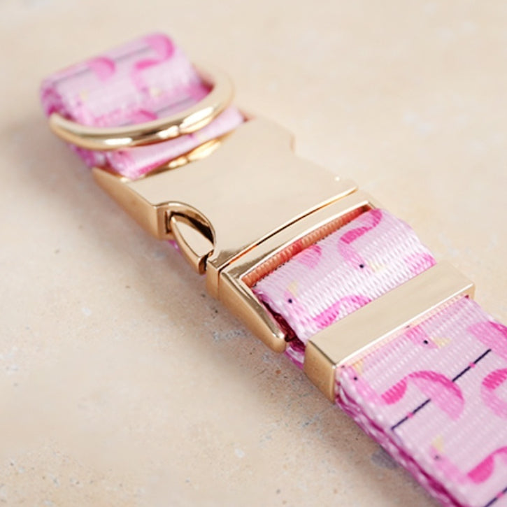 New Flamingo Dog Collar