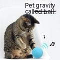 Automatic Press Leakage Pet Feeder
