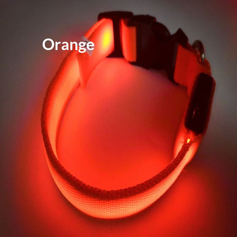 USB-Charging Glow-in-the-Dark Dog Collar