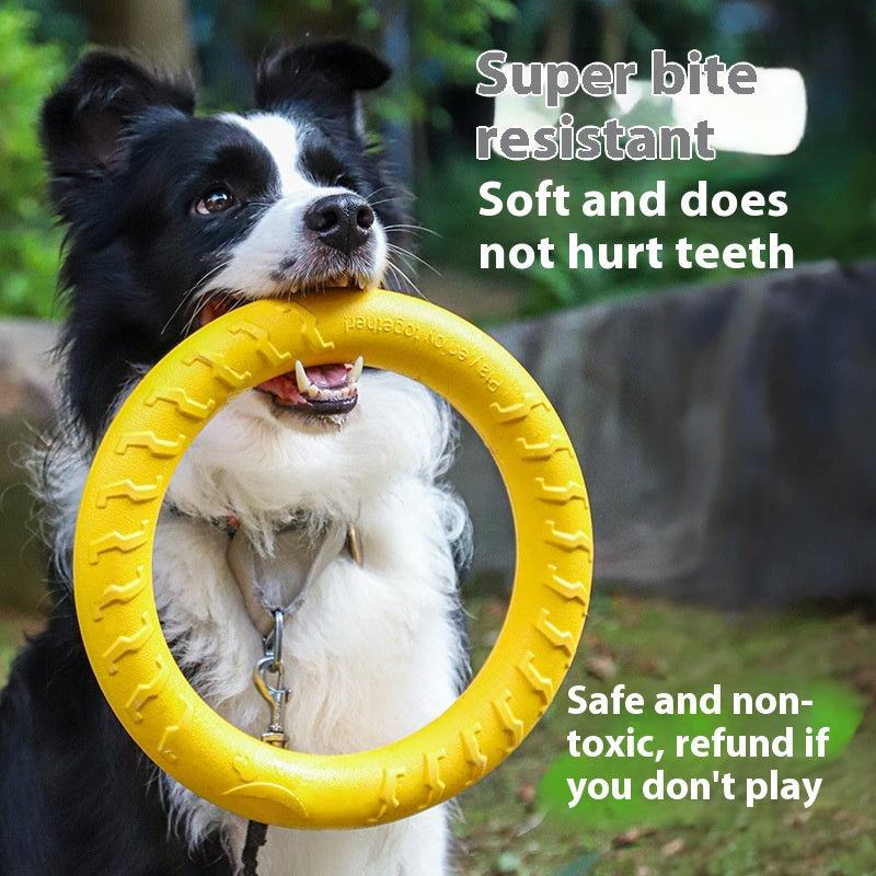 Dogjingdang Dog Training Special Border Collie Supplies
