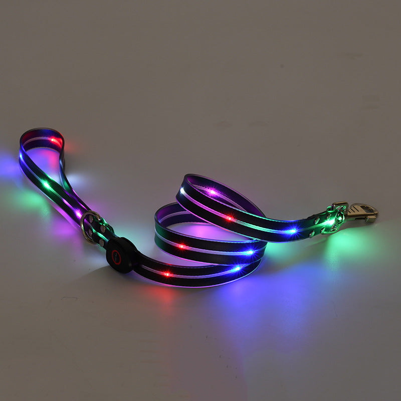 Rechargeable LED Collar and Nylon Leash