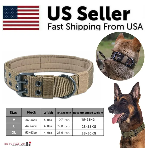 Wide Heavy Duty Dog Collar with Metal Buckle