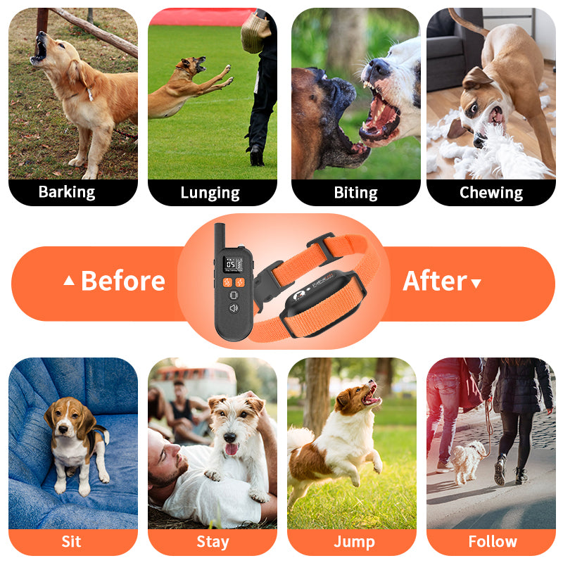 Remote Control Pet Trainer