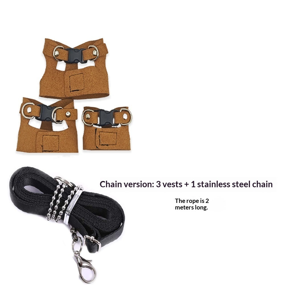 Lizard Chameleon Squirrel Pet Outdoor Chest And Harness