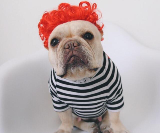Creative Funny Dog Wig Headgear