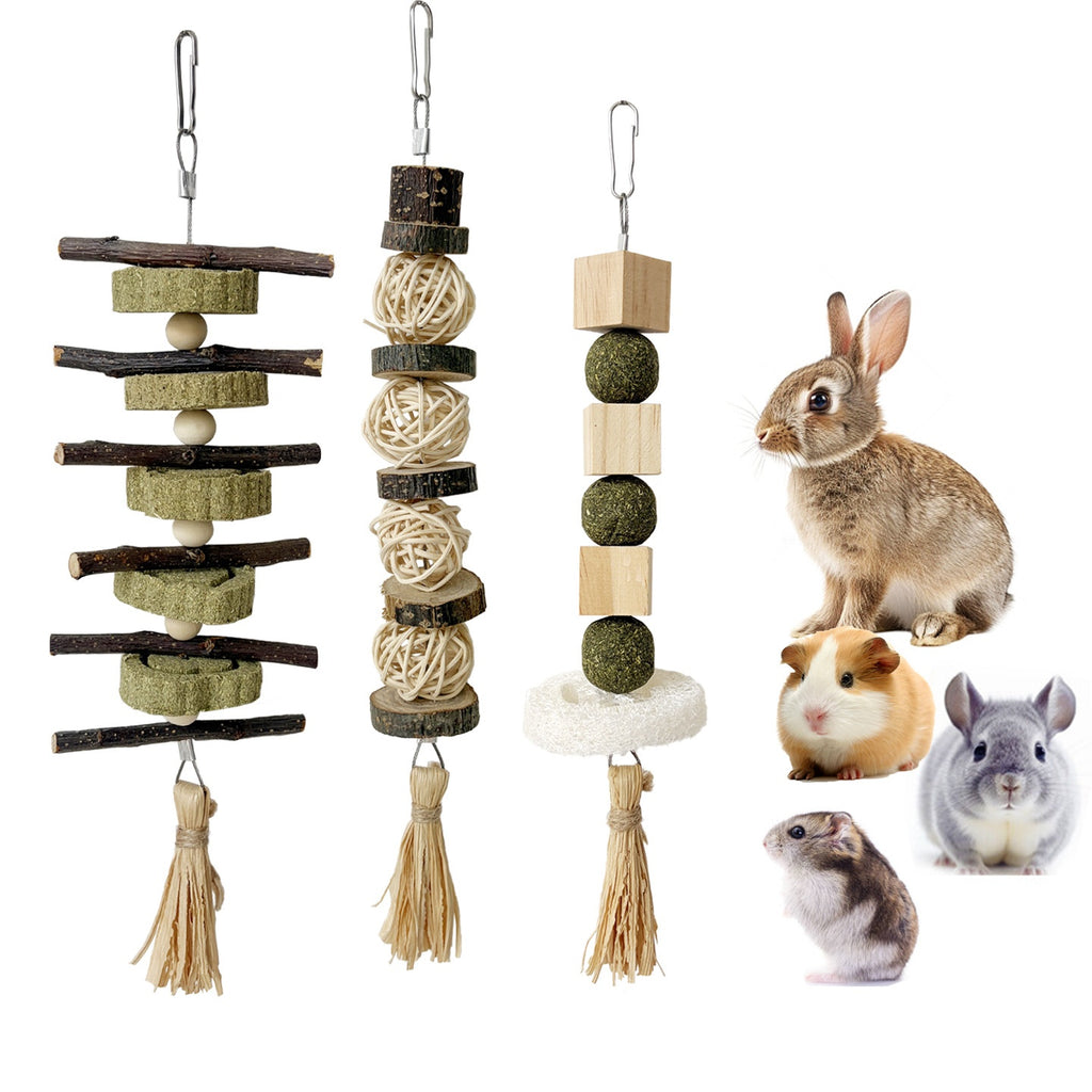 Three-Piece Chew Toy Set for Small Pets