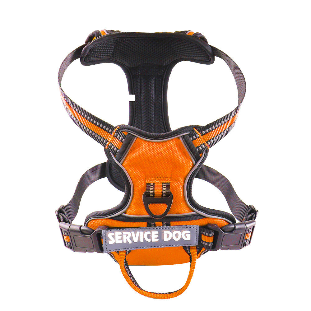 Personalized Oxford Dog Back Strap