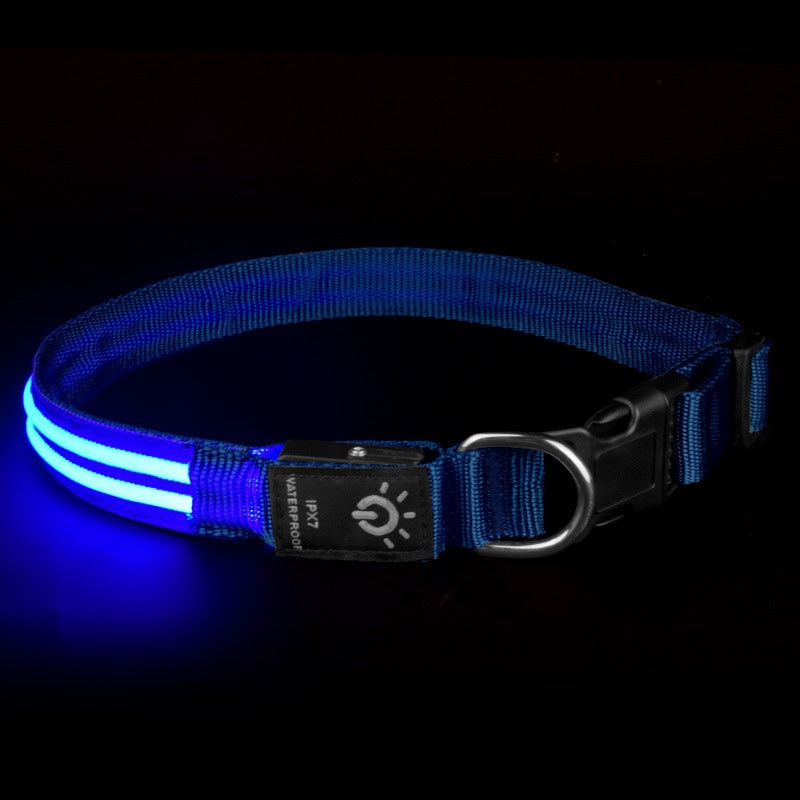LED Waterproof Pet Collar For Night