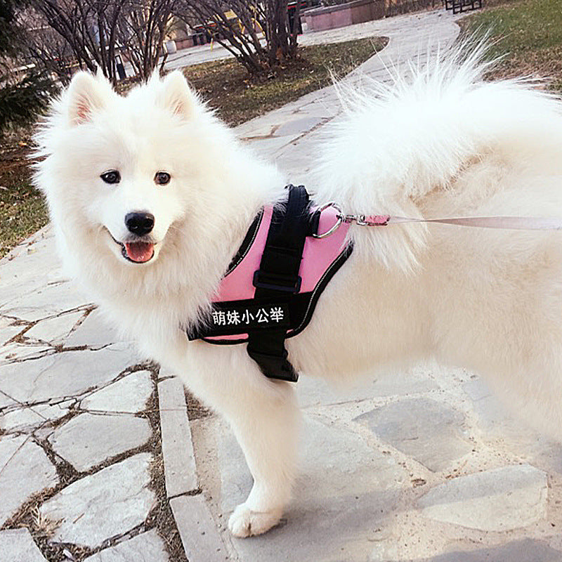 Nylon Dog Chest Harness And Leash