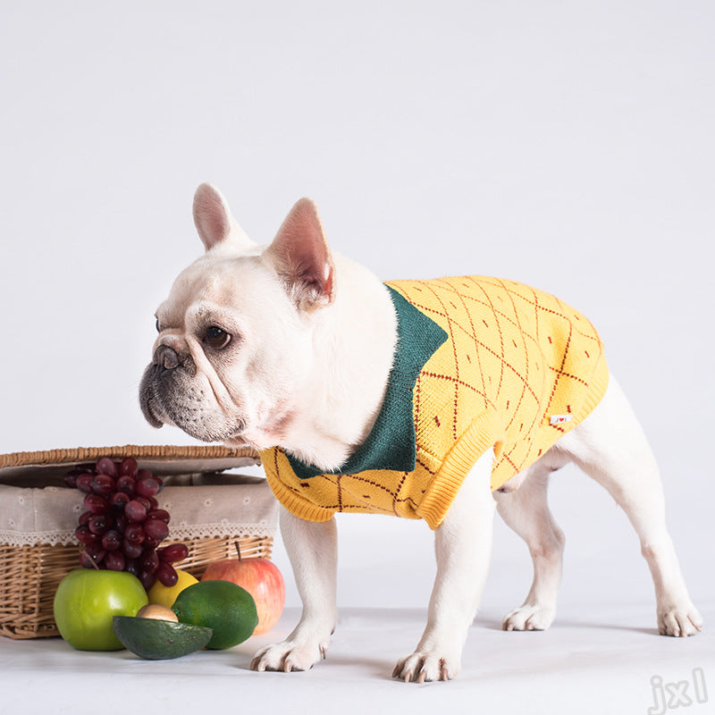Cotton Dog Sweater