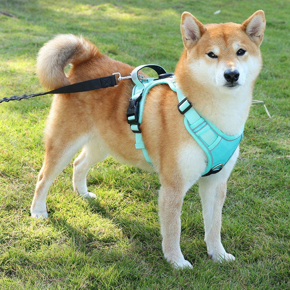 Vest-Style Dog Harness for Medium to Large Dogs