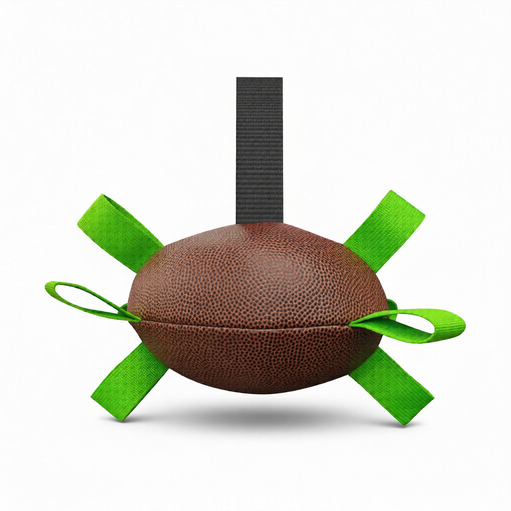 Interactive Chase Ribbon Pulling Rugby Dog Toy