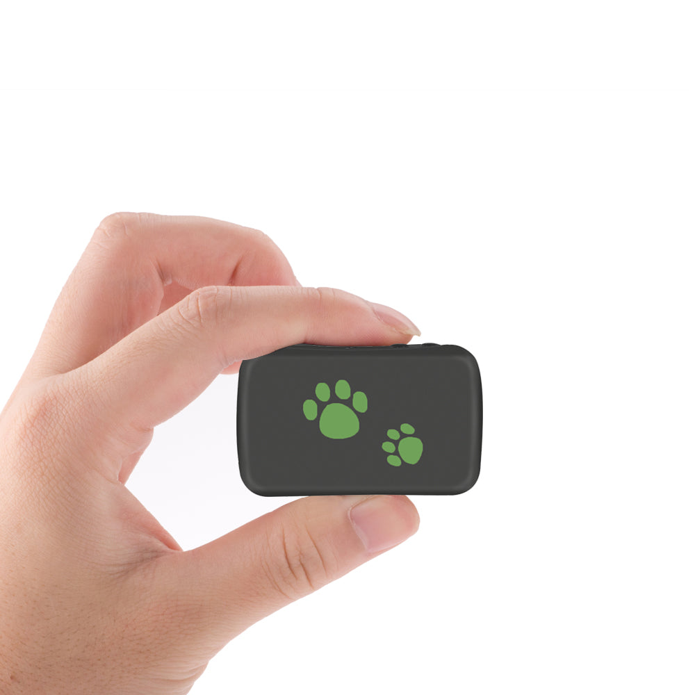 PVC GPS Pet Tracker