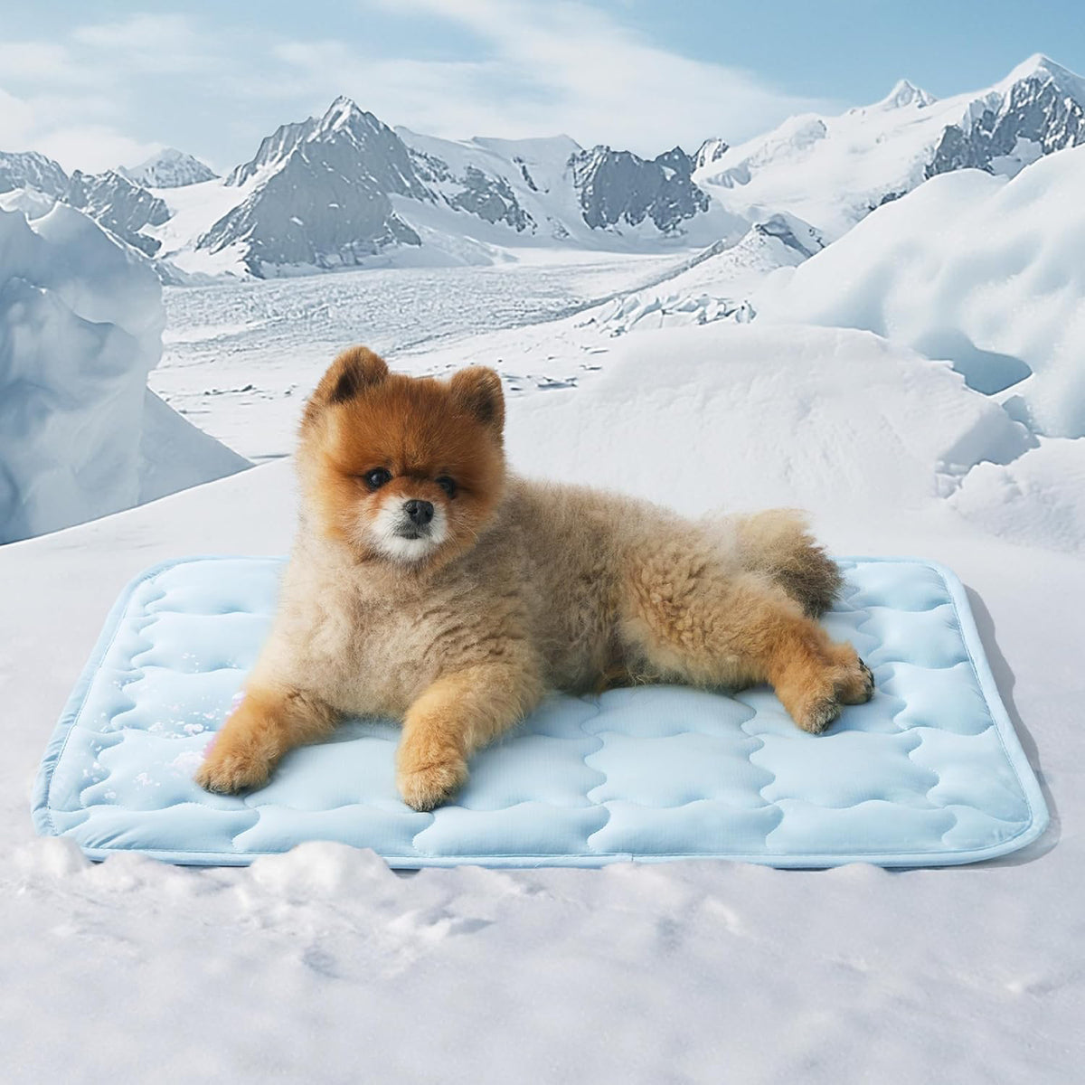 Machine-Washable Cooling Dog Ice Mat