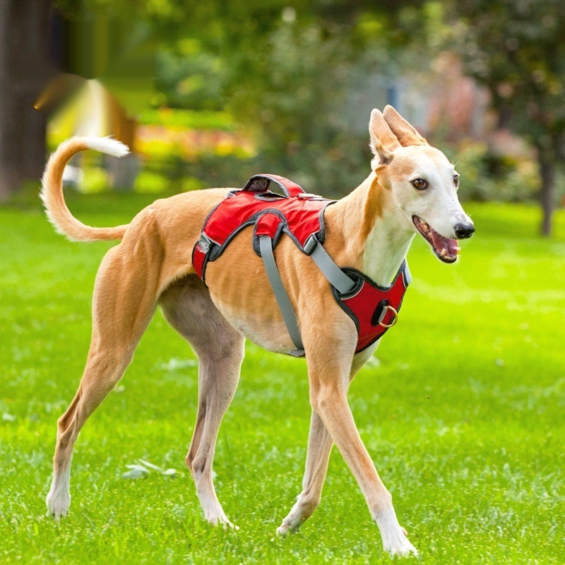 Large and Medium-Sized Dog Outdoor Vest Harness