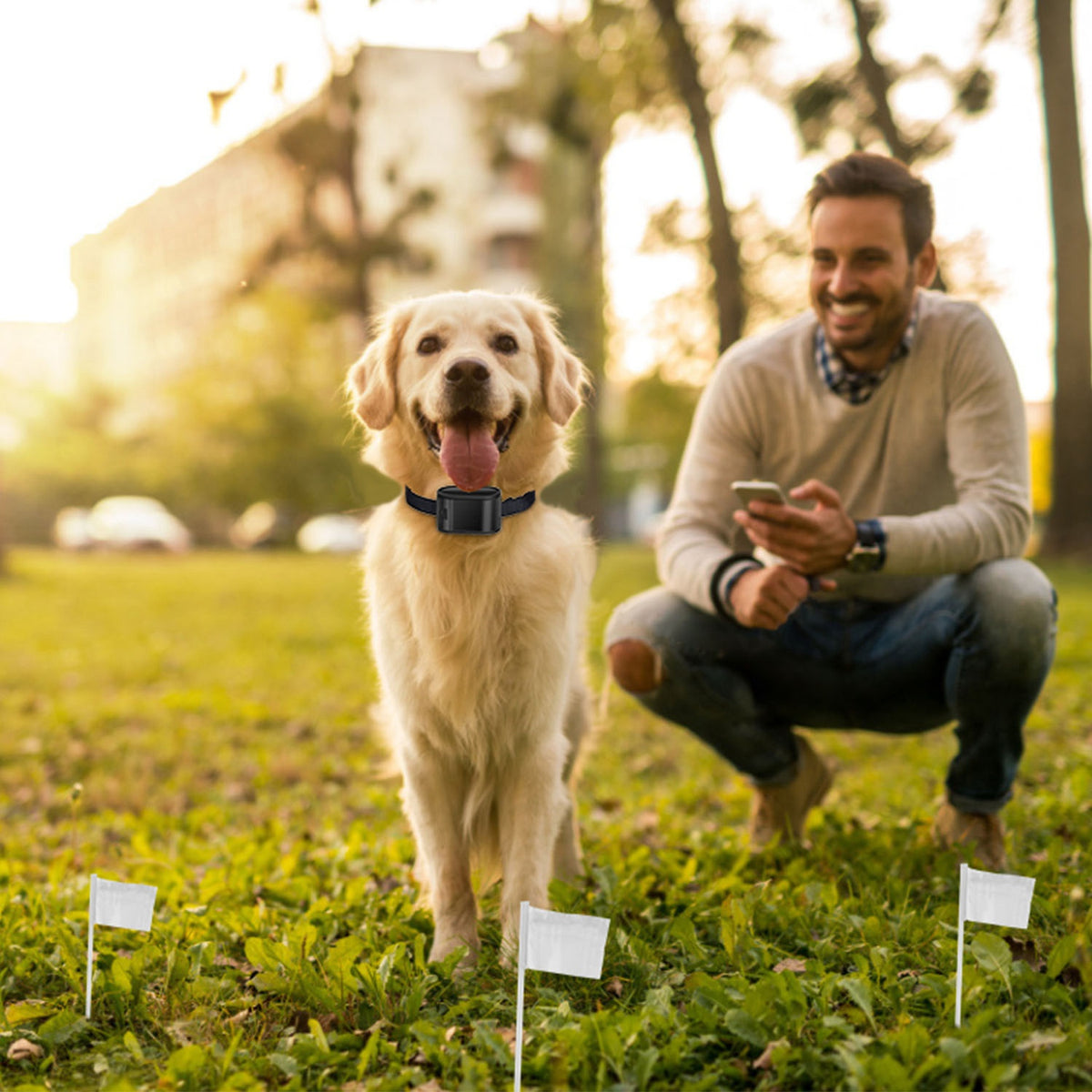 Electric Dog Fence System with Collar
