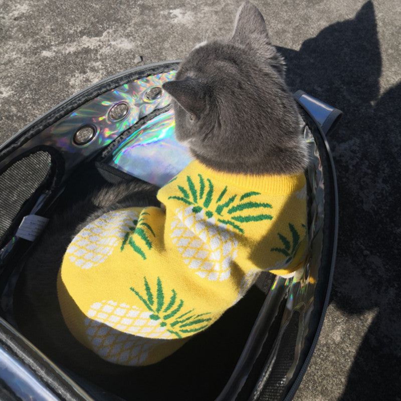 Cute Pineapple Print Christmas Pet Clothes