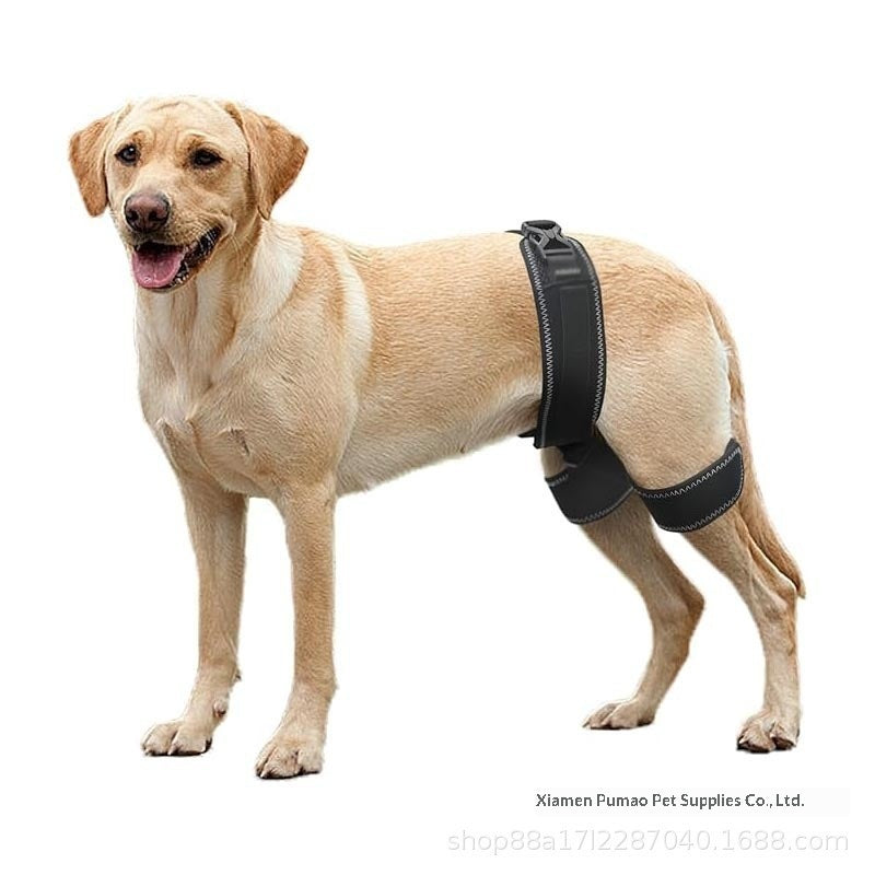 Dog Hip Support Belt