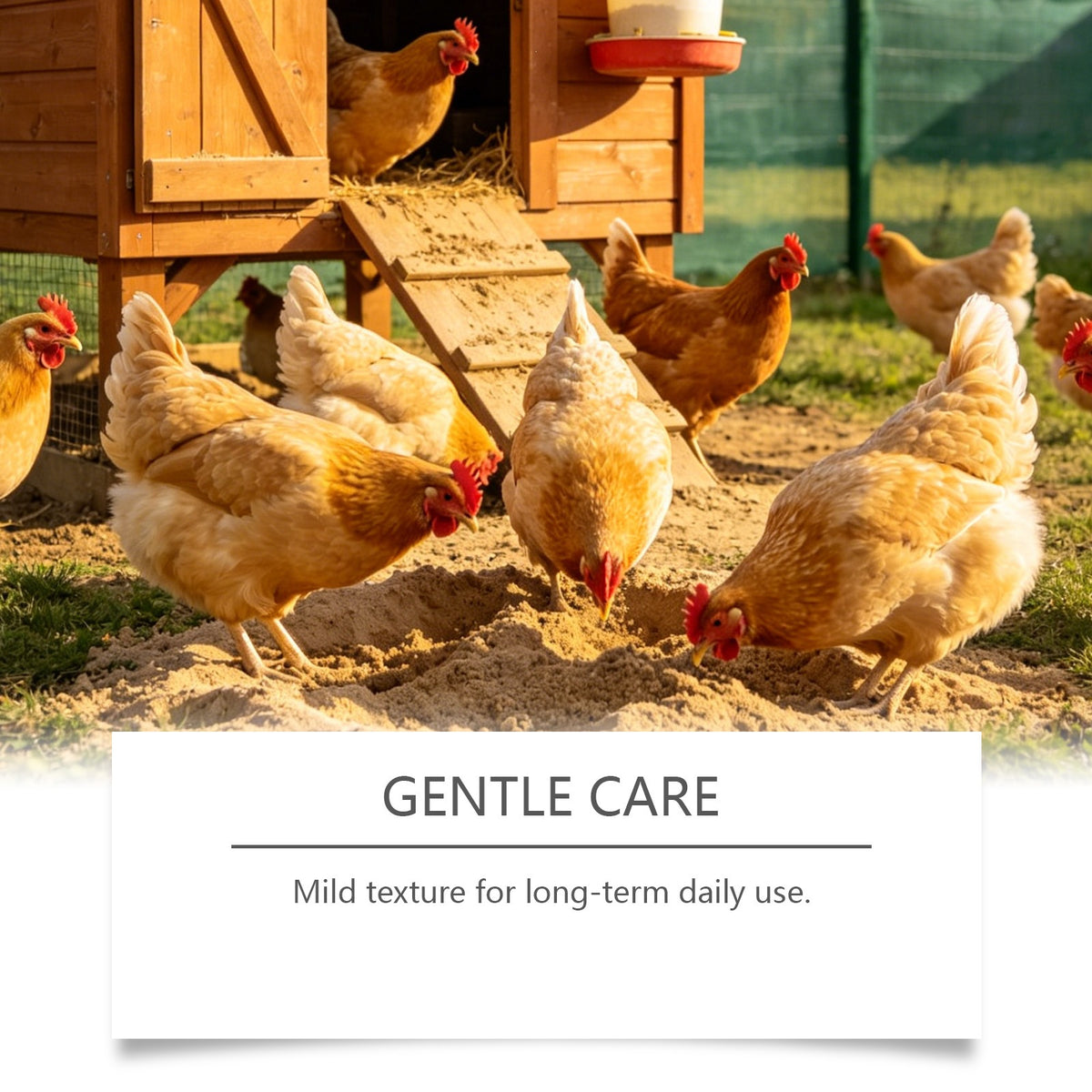Chicken Care Nutritional Feed Additive