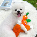 Plush Chicken Leg Dog Teething Toy