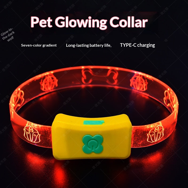 Glowing Dog Collar For Nighttime Walks