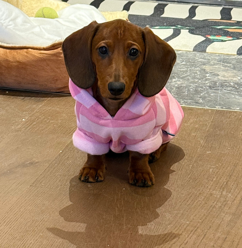 Hooded Pink Pet Sweater for Autumn and Winter
