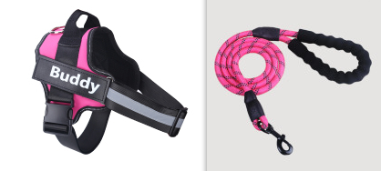 Simple Dog Leash And Chest Strap Set