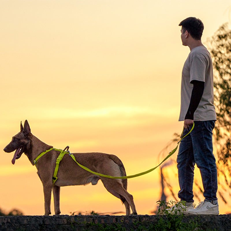 Medium And Large Dog Hand-Held Leash Harness