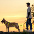 Medium And Large Dog Hand-Held Leash Harness