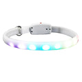 Luminous Led Horse Running Light Dog Collar