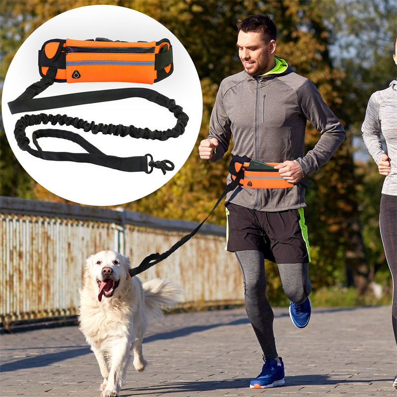 Nylon Pet Purse Leash