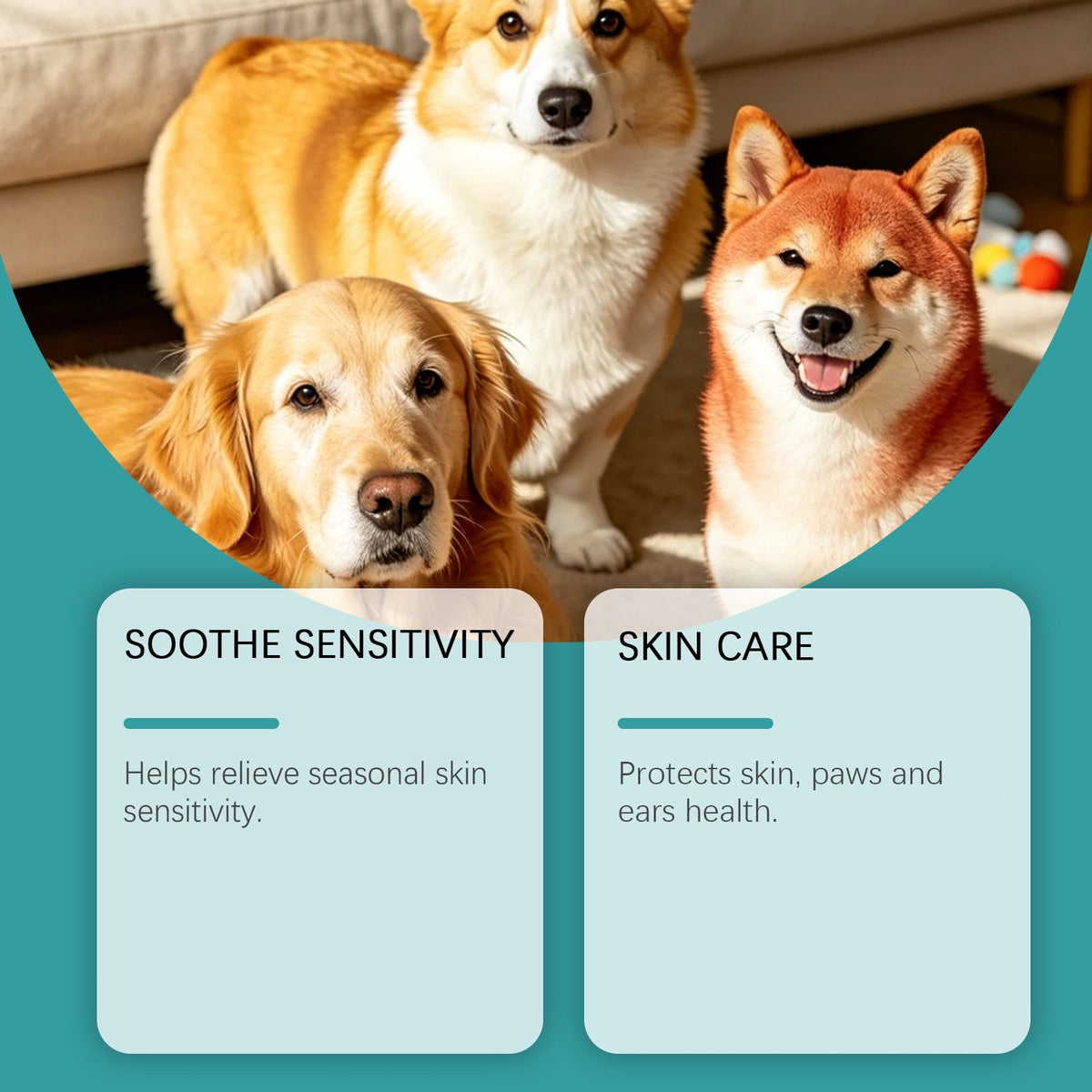 Mild Ingredient Dog Care Chewable Tablets