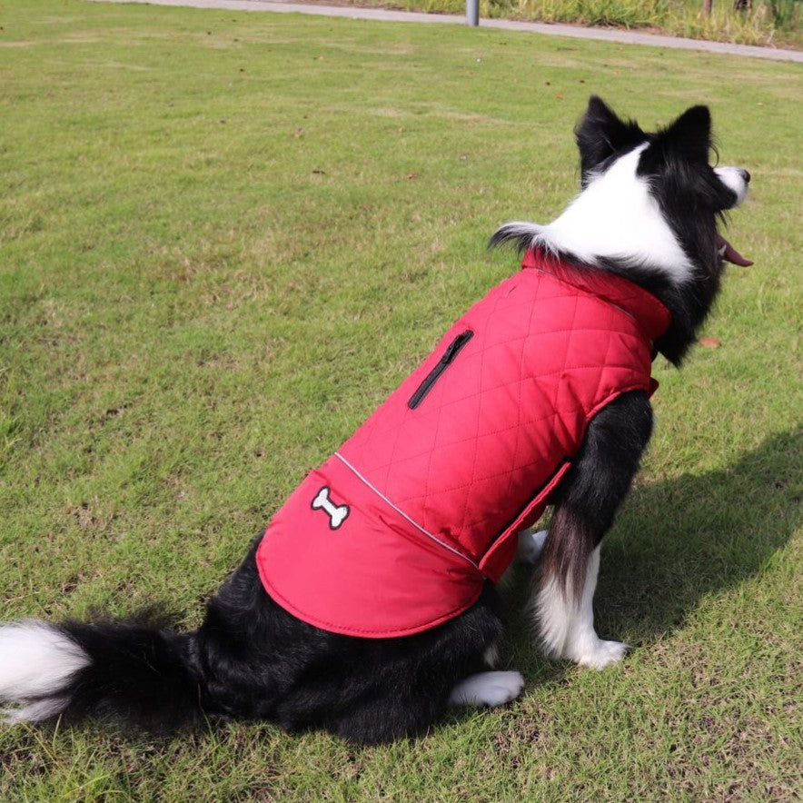 Autumn Winter Outdoor Dog Clothes