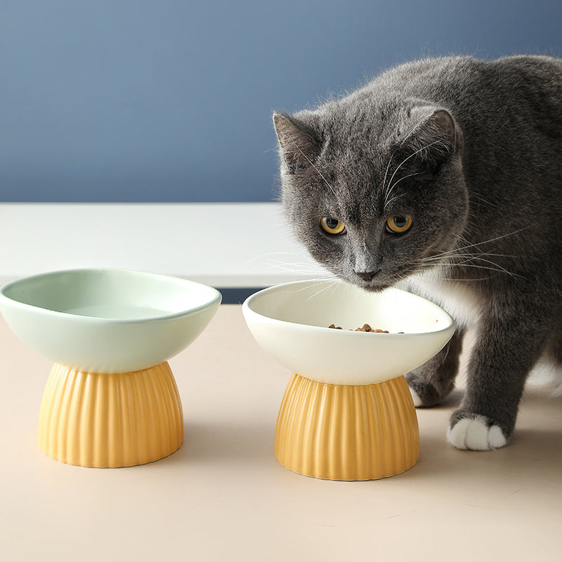 Ceramic Protection Cervical Vertebra Pet Bowl With High Vertical Pattern