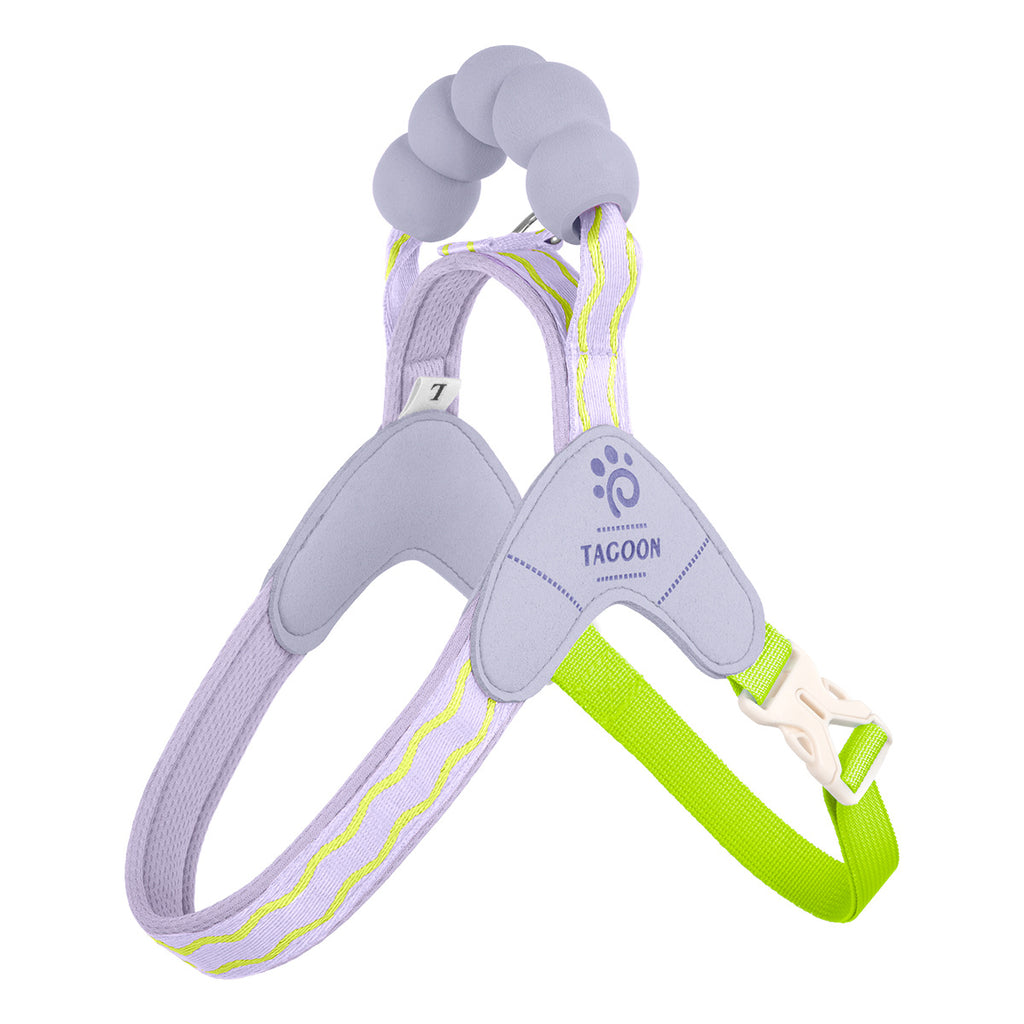 Cheerful Colorful Pet Harness