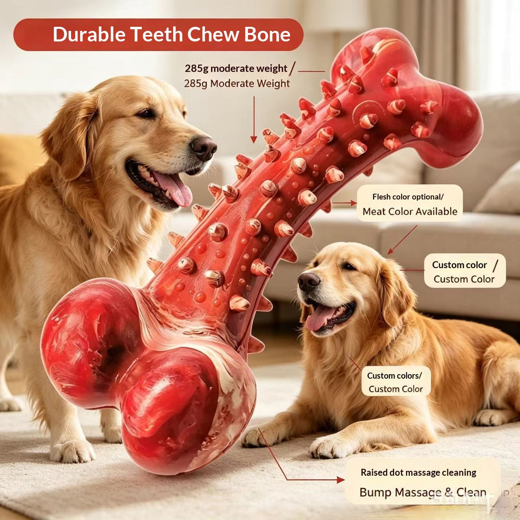 Large Rubber Toothbrush Bone Chew Toy
