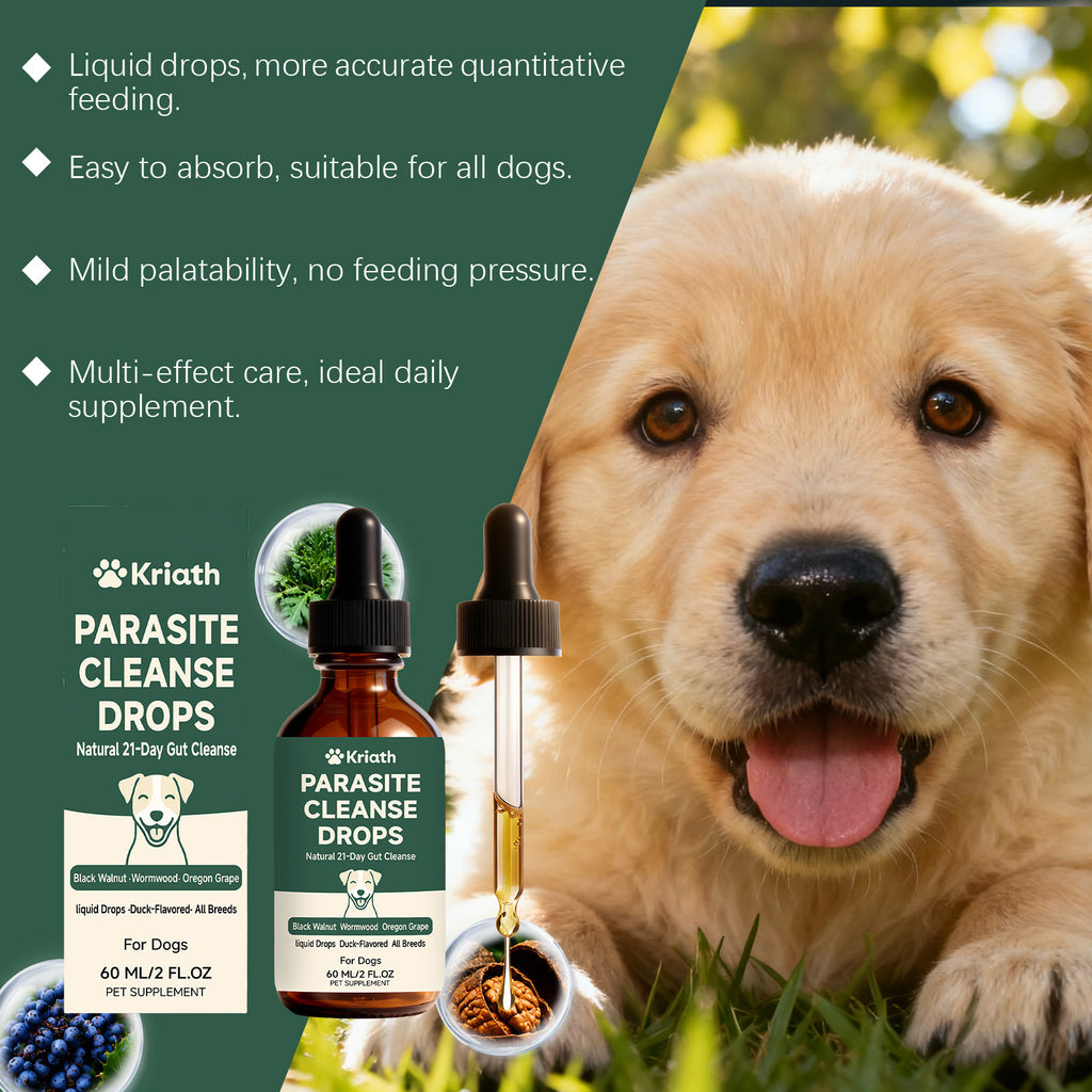 Kriath Dog Intestinal Essential Oil Drops Gentle Formula For Comfort And Care Of The Gastrointestinal Tract Oral Drops For Pets