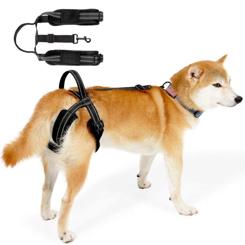 Retractable Dog Harness