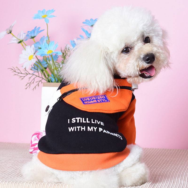 Pet Clothes Two-Legged Sweater Detachable School Bag Small Dog Sweater