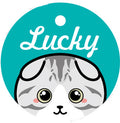 Custom Lettering Pet ID Tag