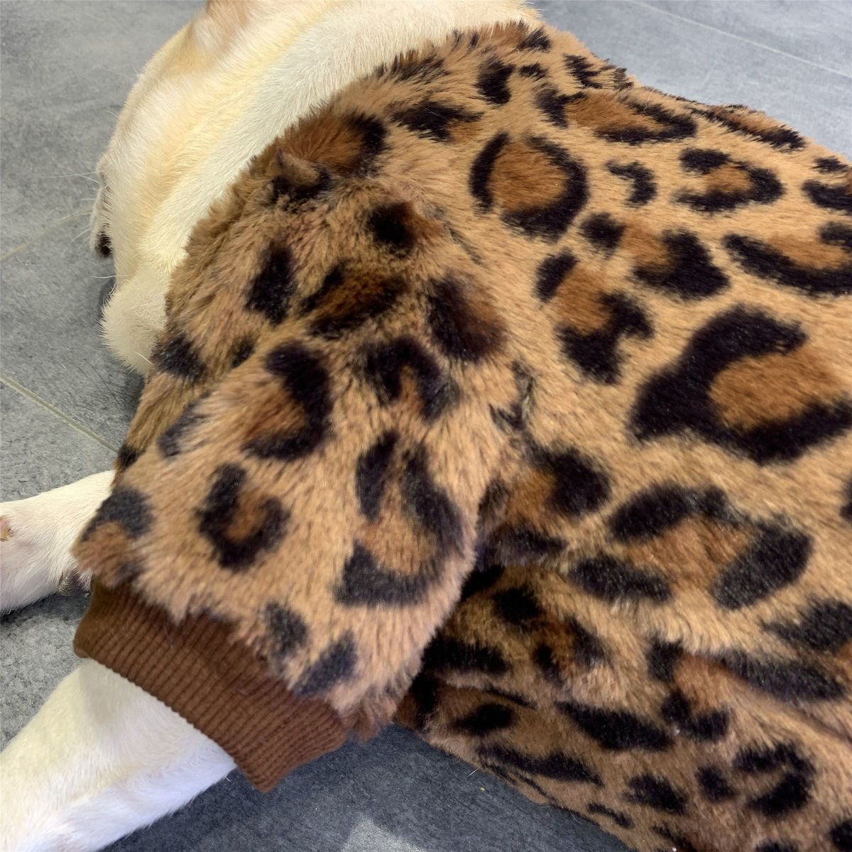 Fleece-Lined Polyester Padded Dog Coat