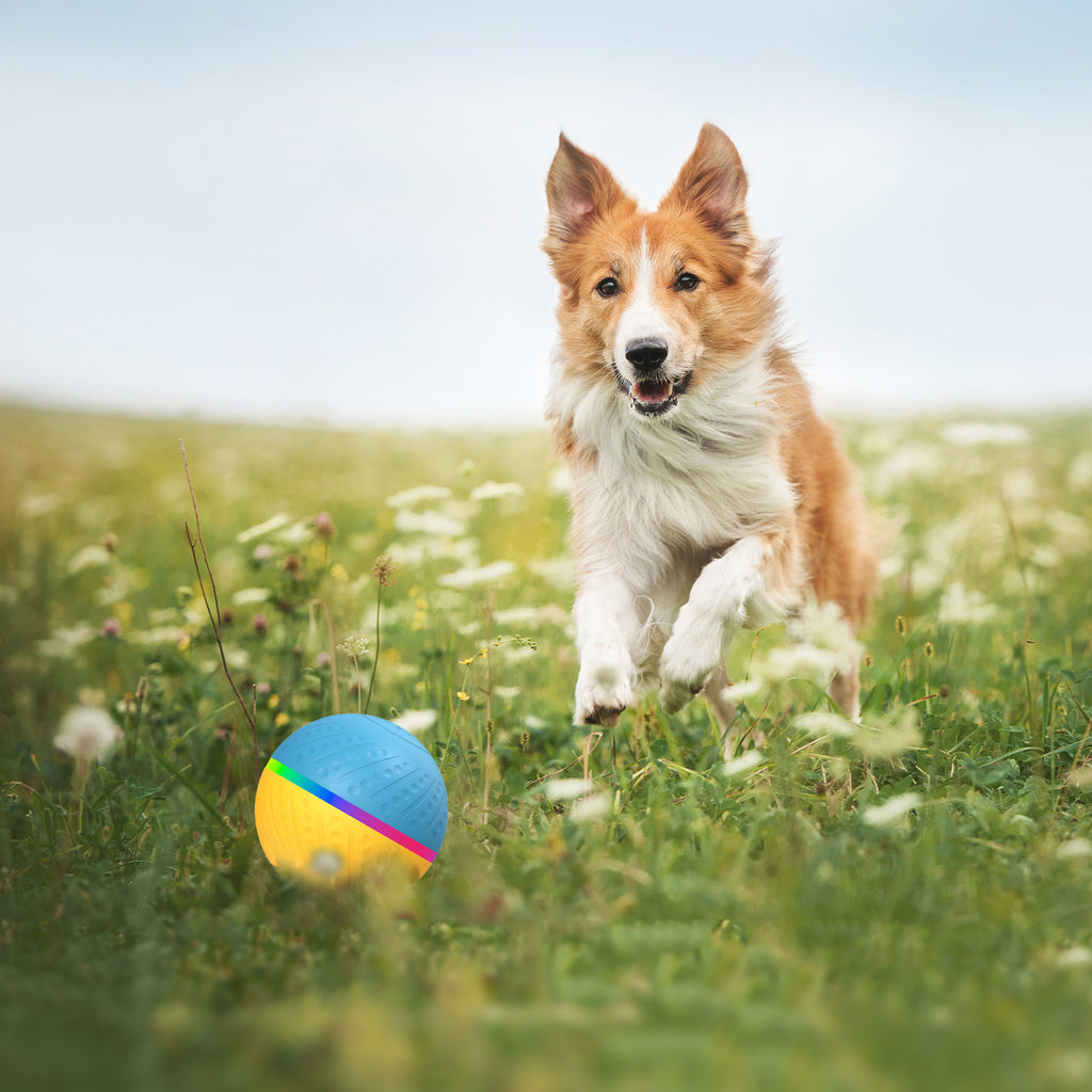 Bite-Resistant Remote Control Interactive Anti-Stuffy Intelligent Toy Ball