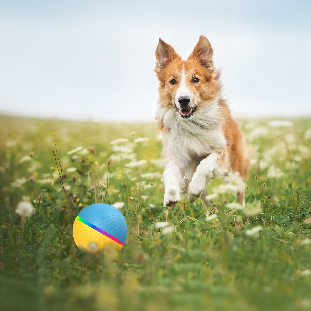 Bite-Resistant Remote Control Interactive Anti-Stuffy Intelligent Toy Ball