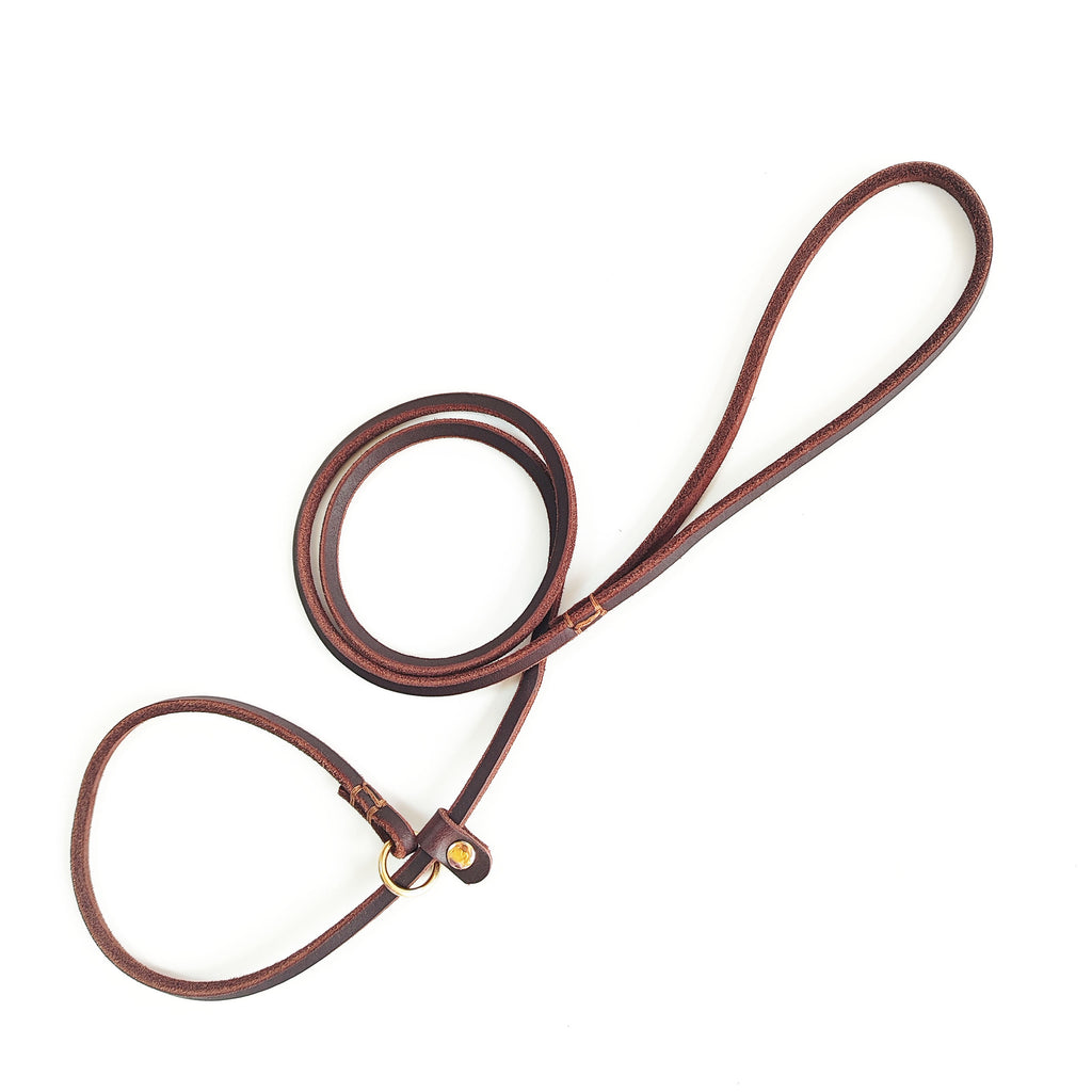 Genuine Leather Braided Cowhide Dog Leash