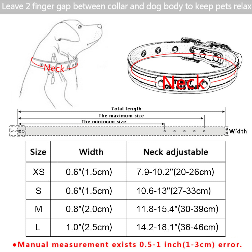 DIY Alphabet Dog Collar Accessory