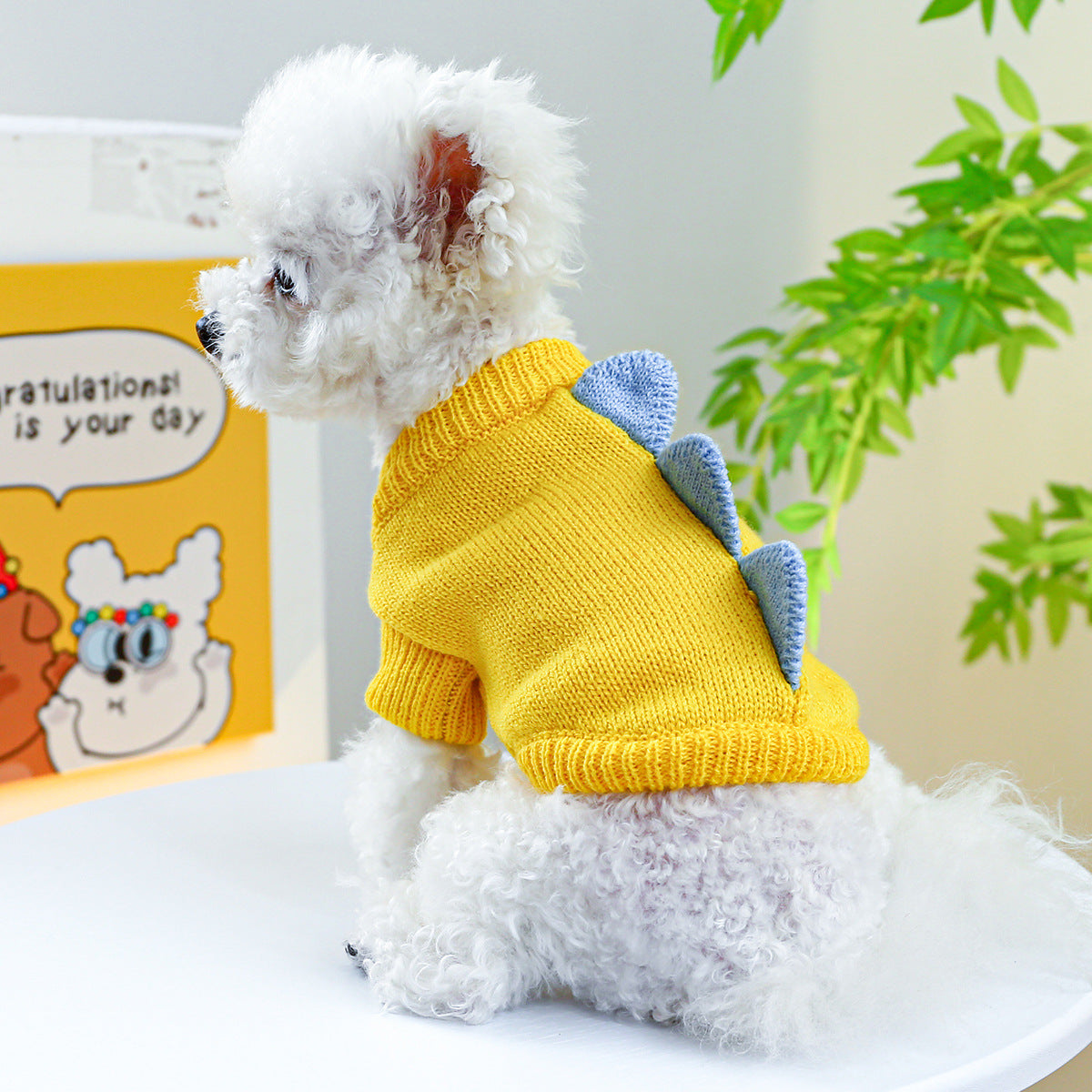 Warm Comfortable Cute Dog Clothes