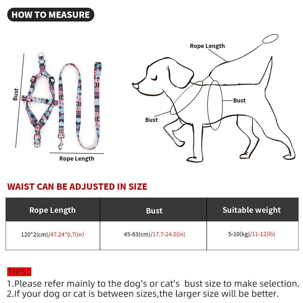 Nylon Medium-Sized Dog Leash
