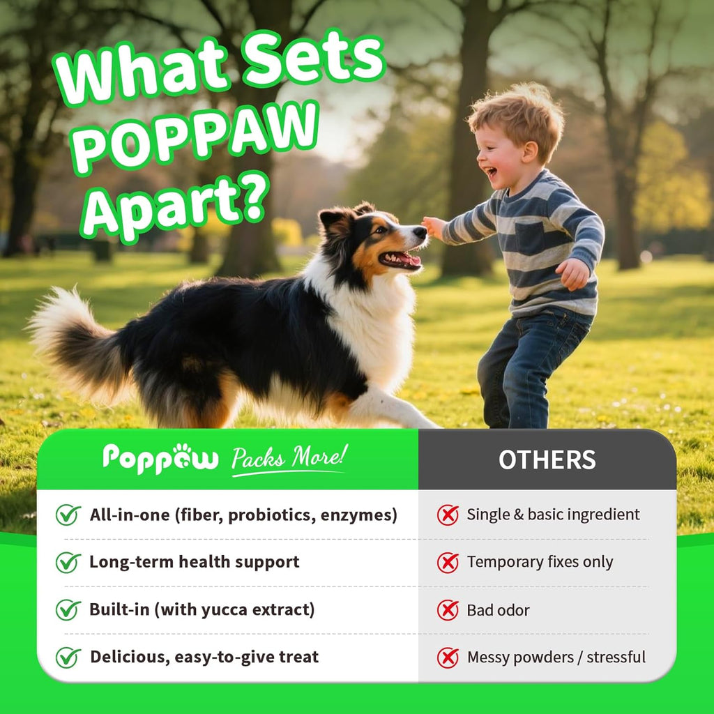 Dog Probiotics Digestive Enzymes,Pumpkin Fiber Chews For Gut Health, Constipation Upset Stomach Relief, Gas & Stool Support, Chicken Flavor